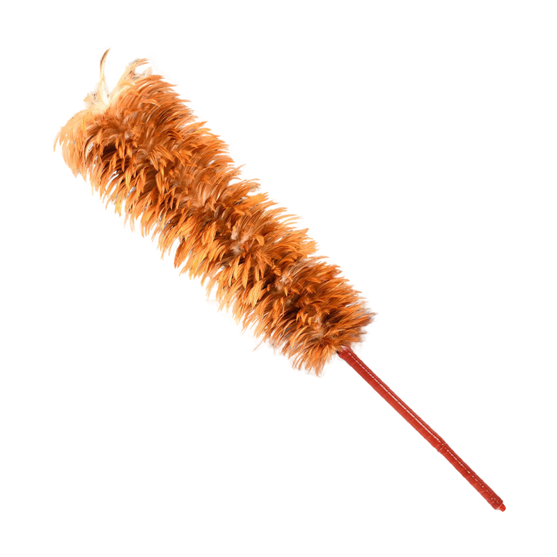 ���ڲ�������������ë���Ӳ���ë�������漦ëɨ��֩����������� 19.8Ԫ