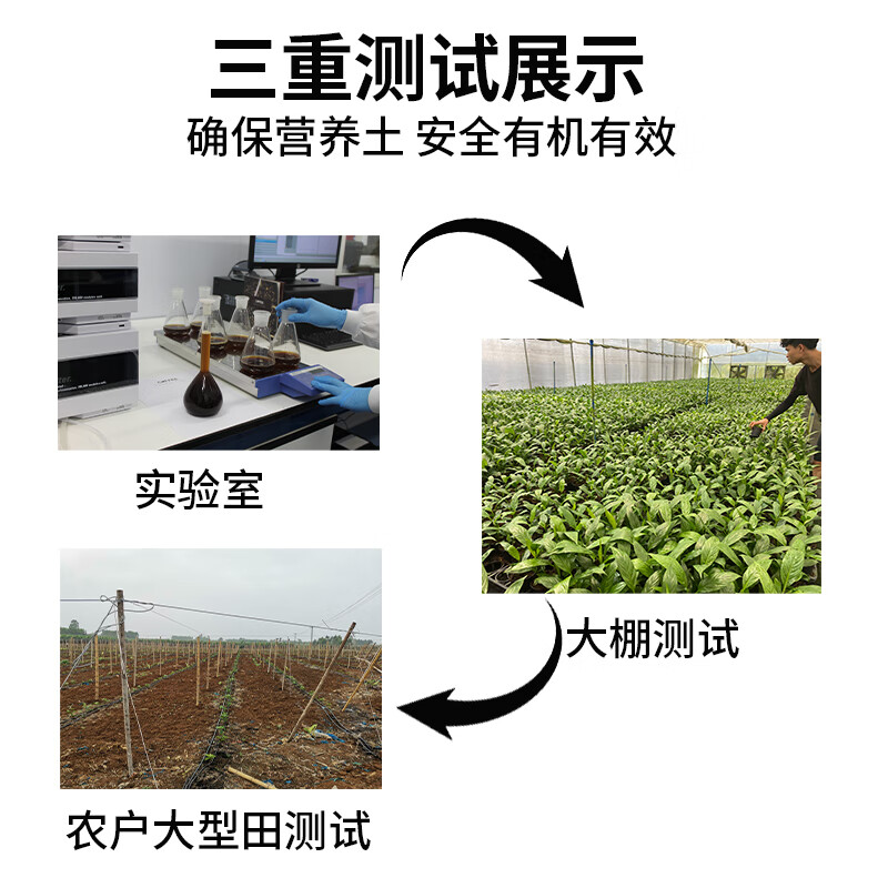 CASHW多肉专用土营养土颗粒土肉肉土壤盆栽种植土幼苗成苗老桩透气土 【大包多肉土】10L