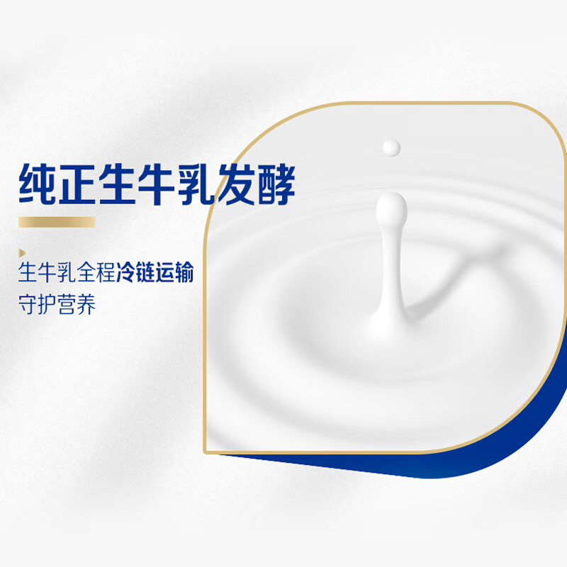 蒙牛纯甄风味酸牛奶200g*16盒 早餐酸奶配麦片送礼新老包装随机