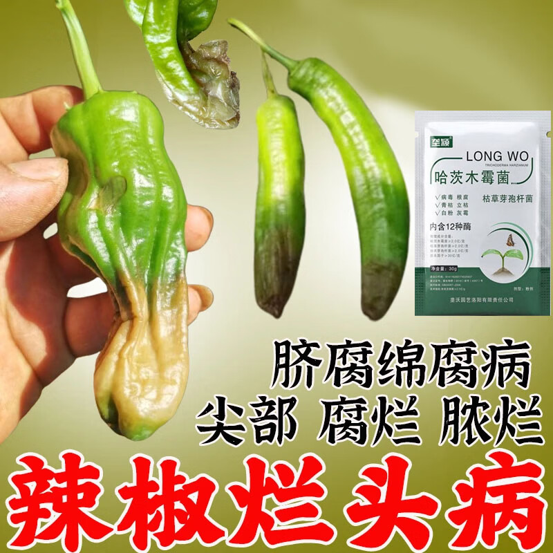 辣椒高温烂头专用肥软腐烂果烂尖花皮病清菌迅速