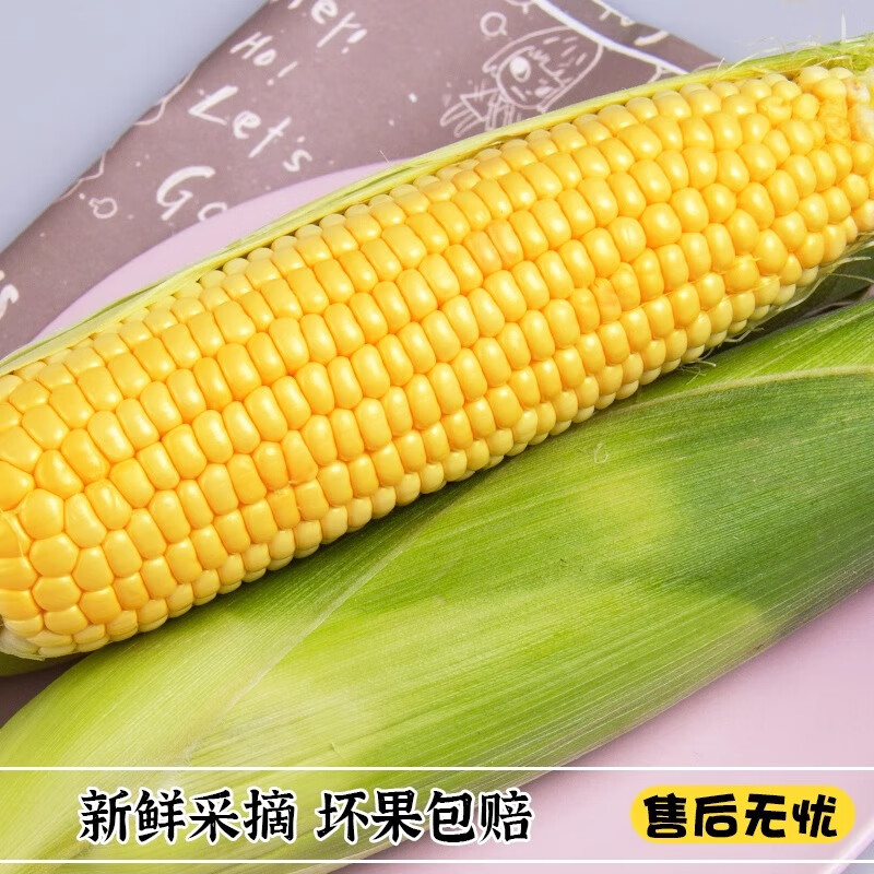 BUY云南水果玉米甜脆爆浆新鲜嫩玉米棒子代餐早晚餐 水果玉米带箱5斤