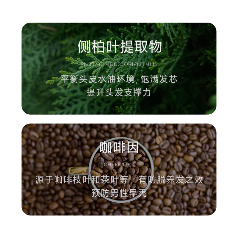 琴叶威丝婷弱酸性洗发水滋润保湿去屑清爽烫染修护洗发露养发护发 时光修护滋养霜(护发素)800ml