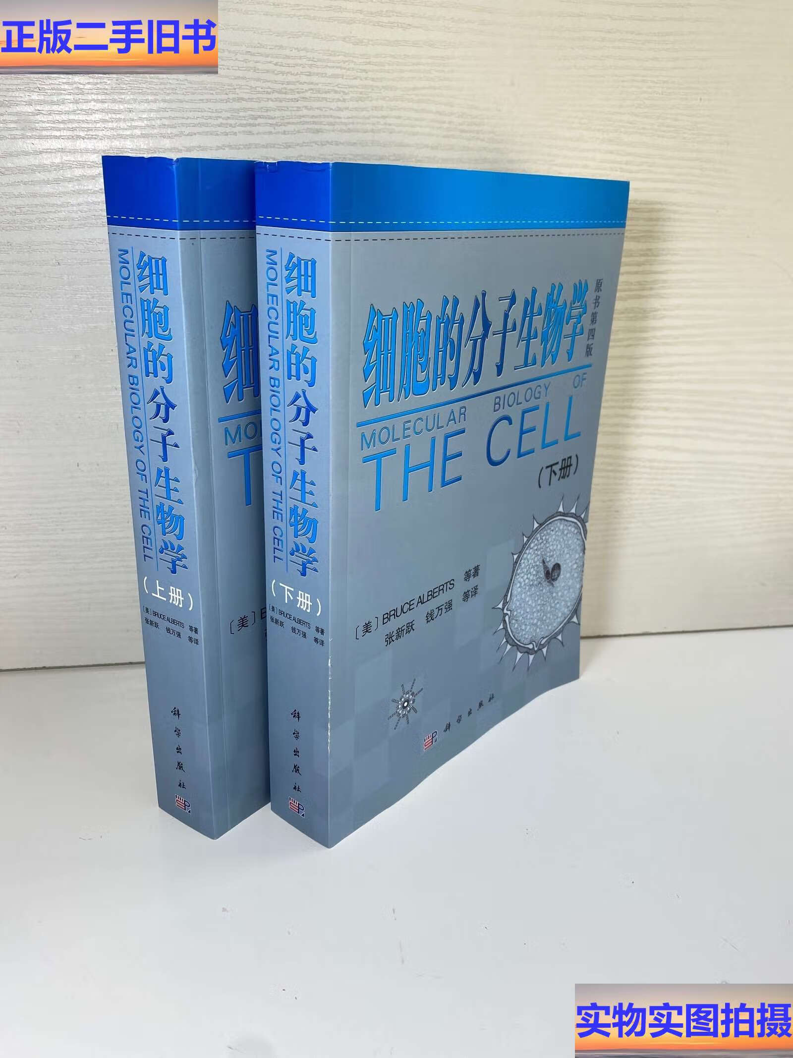 细胞的分子生物学 上下 全二册 /艾伯茨 科学
