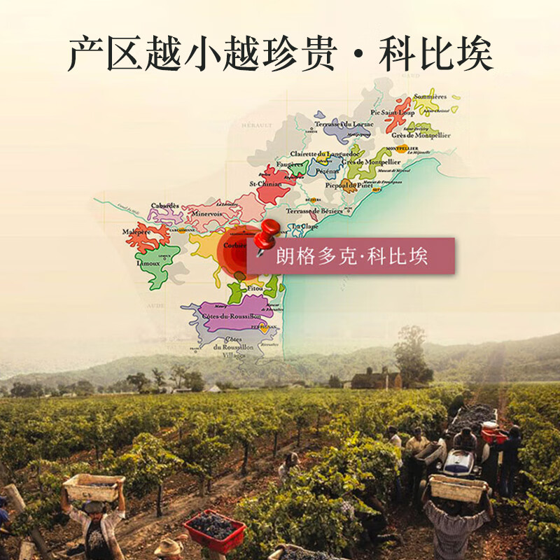 拉格德克法国原瓶进口红酒拉格德克金尾鸢干红葡萄酒橡木桶AOP级送礼 整箱 品牌精选AOP级-750ml*6支整箱装