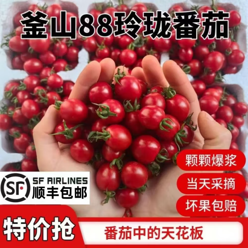 顺丰正宗釜山88玲珑千禧圣女果5斤 超甜樱桃小番茄当季新鲜水果 3斤