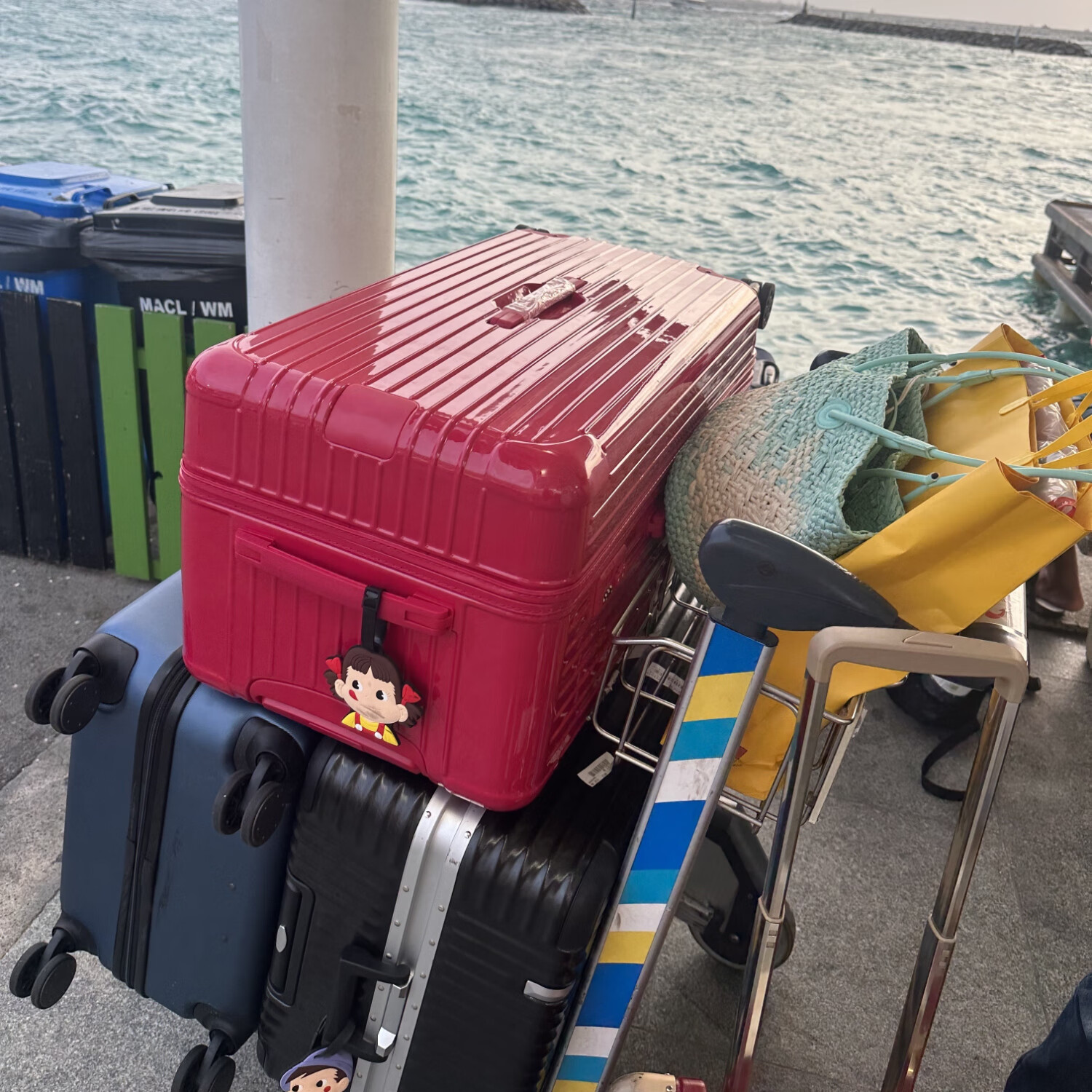 R家大容量方胖子Trunk旅行箱Essential超轻运动款行李箱登机箱女 沙漠粉 33英寸 运动款终身质保