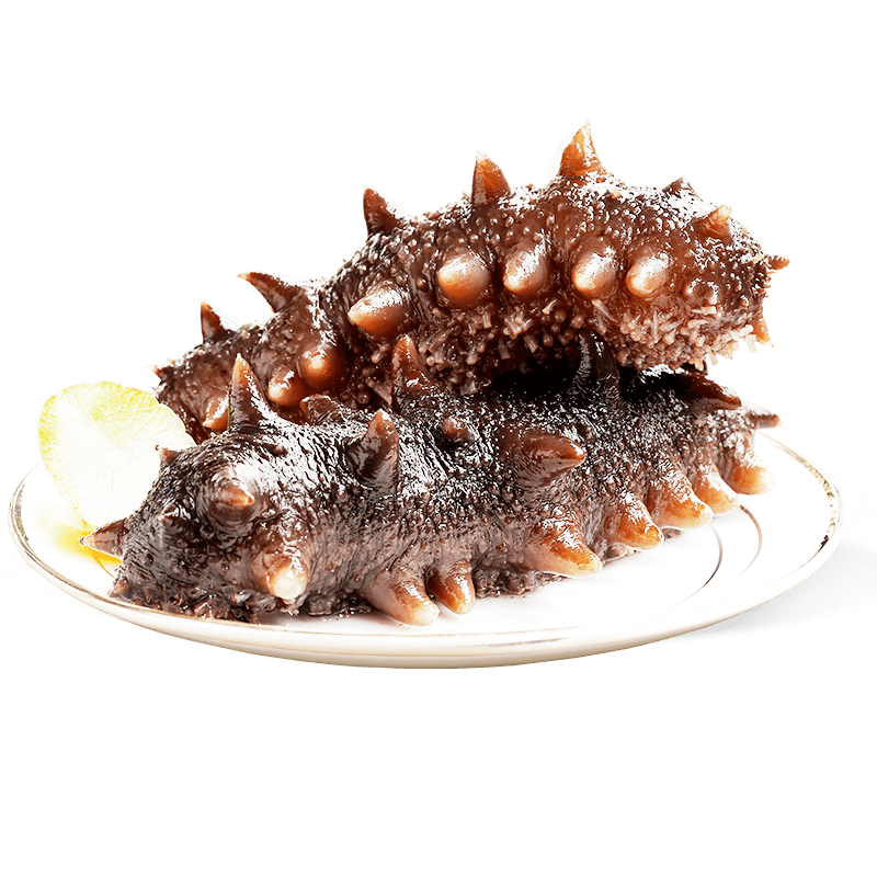 久年 大連即食海參 鮮食冷凍遼刺參 生鮮海鮮水產禮盒  1000g 32-36頭禮盒