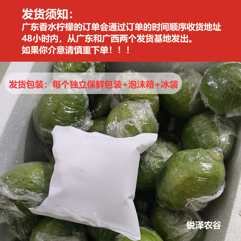 正宗广东香水柠檬爆香新鲜无籽柠檬精品一级果 18斤一级果【奶茶店高复购】 中果【70-99克】