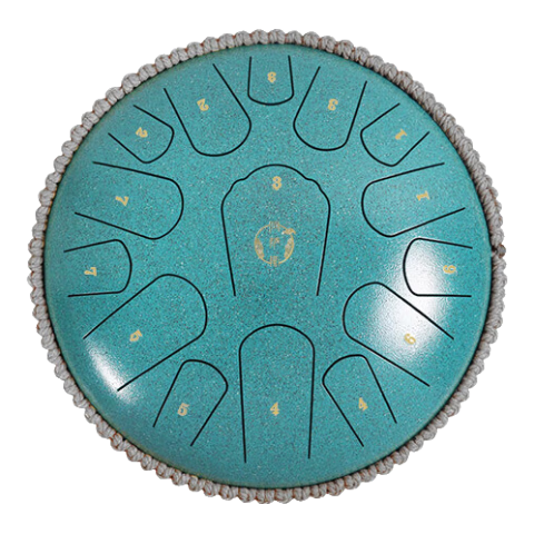 ���ڲ���������˹�����15��С13����˶�ͯ��ѧ������������ С�ܿ�-�ߵ��� 539.01Ԫ��3��(��179.67Ԫ/��)