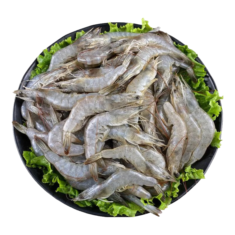 һϺһ���� ��ϺС�׶�Ϻ��ΧϺ��ëϺ �ʻ��䶳 4��(����) ������75% �տ����ʳ�� 48.9Ԫ(����ȯ)