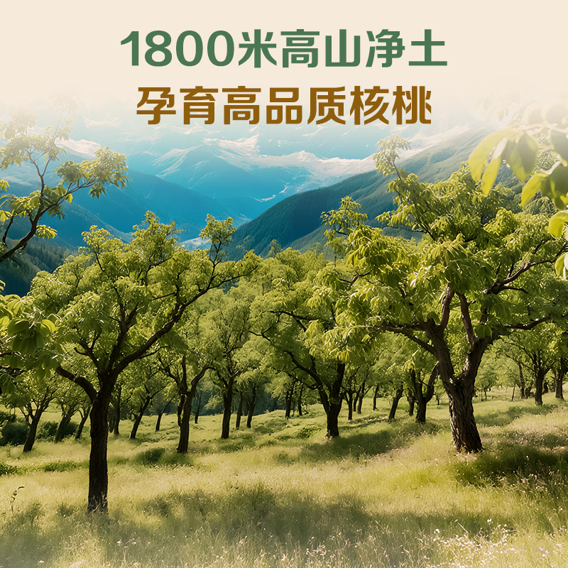 1号会员店 云南有机核桃仁 900g (300g*3)  25年新果零食免剥壳坚果