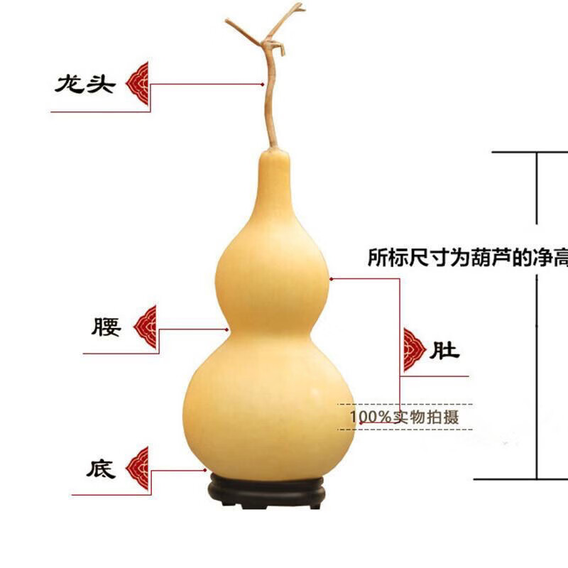 天然葫芦风水挂件客厅招财大号镇宅摆件带龙头居家办公文玩小葫芦 46至49厘米有龙头品相好 摆件送底座五帝钱
