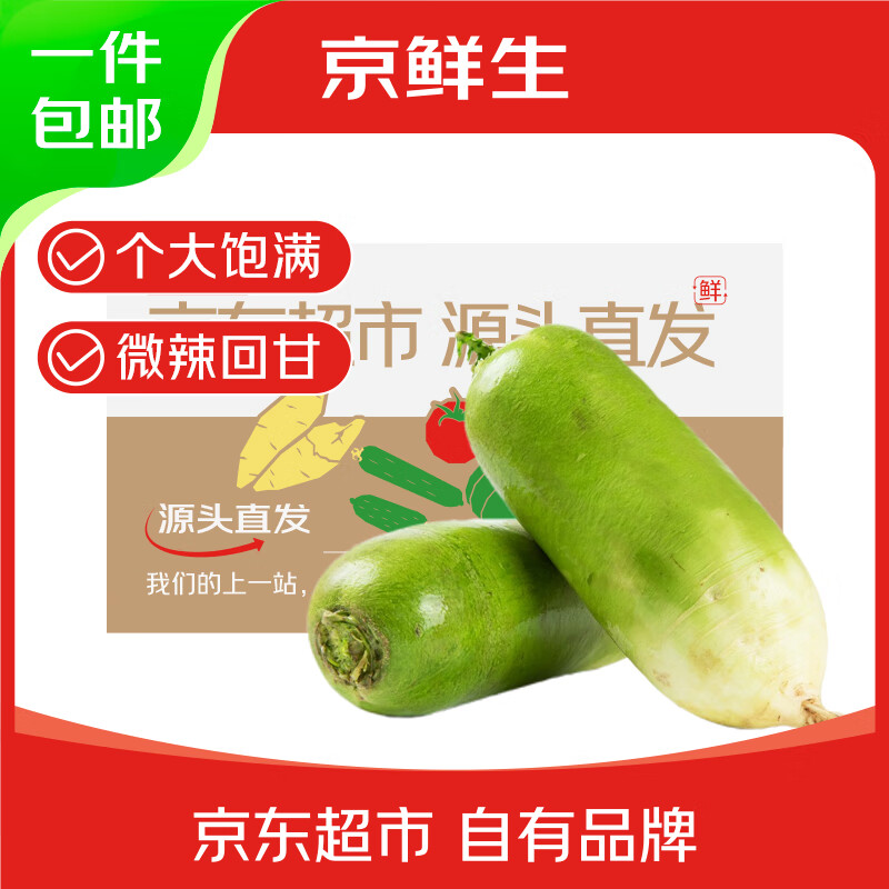京鲜生山东新鲜沙地青萝卜 净重4.5斤装 单果约300g+ 新鲜蔬菜 源头直发