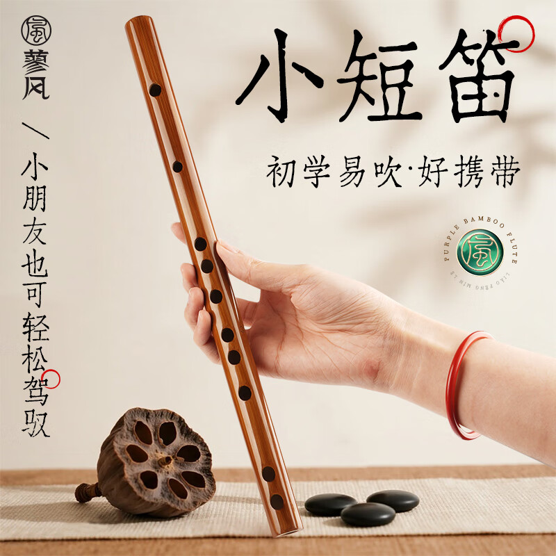 蓼风竹笛儿童迷你素笛G调f初学者入门笛子乐器e小学生短笛d成人横笛c 素笛E调+全套好礼