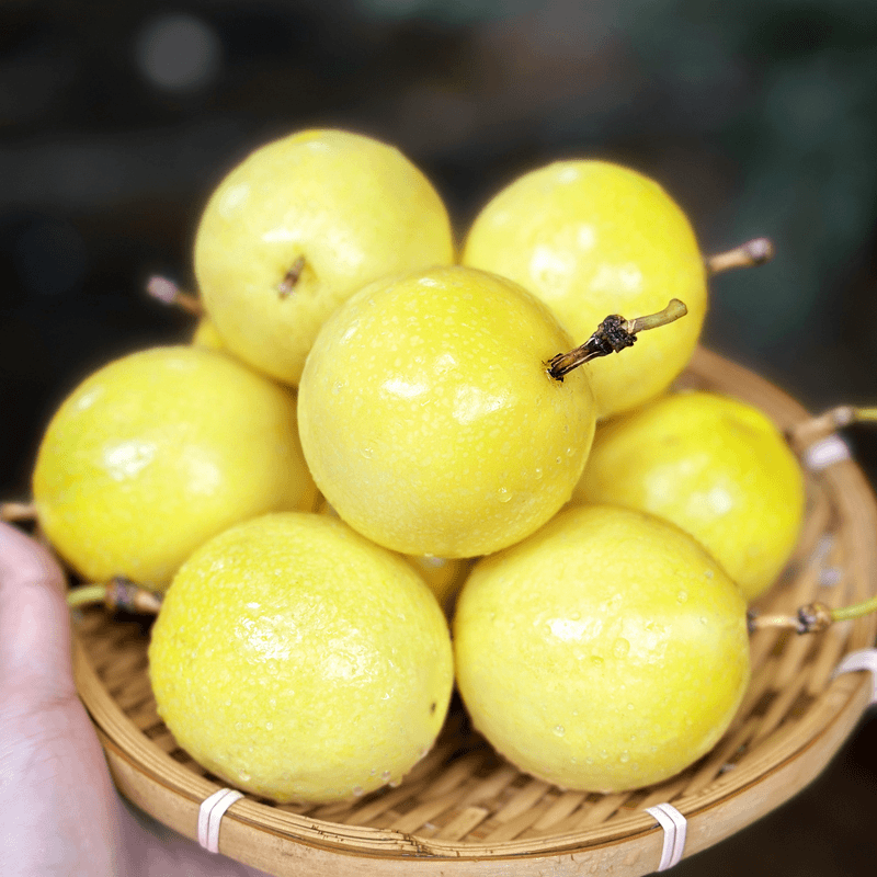 ��Ľ����������9�Żƽ���������ˮ����ժ�������������֭ ���60-70g ��������9�Żƽ����� ������3��