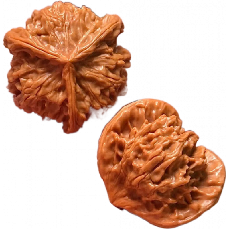 山中玉文玩核桃盤山高端小正奔男士精品收藏級 35mm【原色】送6工具+禮盒禮袋