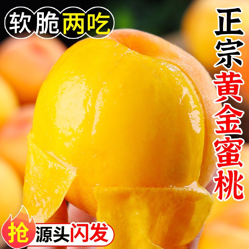 蒲恋 山东蒙阴黄桃【地标授权】新鲜水果现摘现发桃子孕妇水果 5斤优选装丨泡沫托丨净重4.5斤