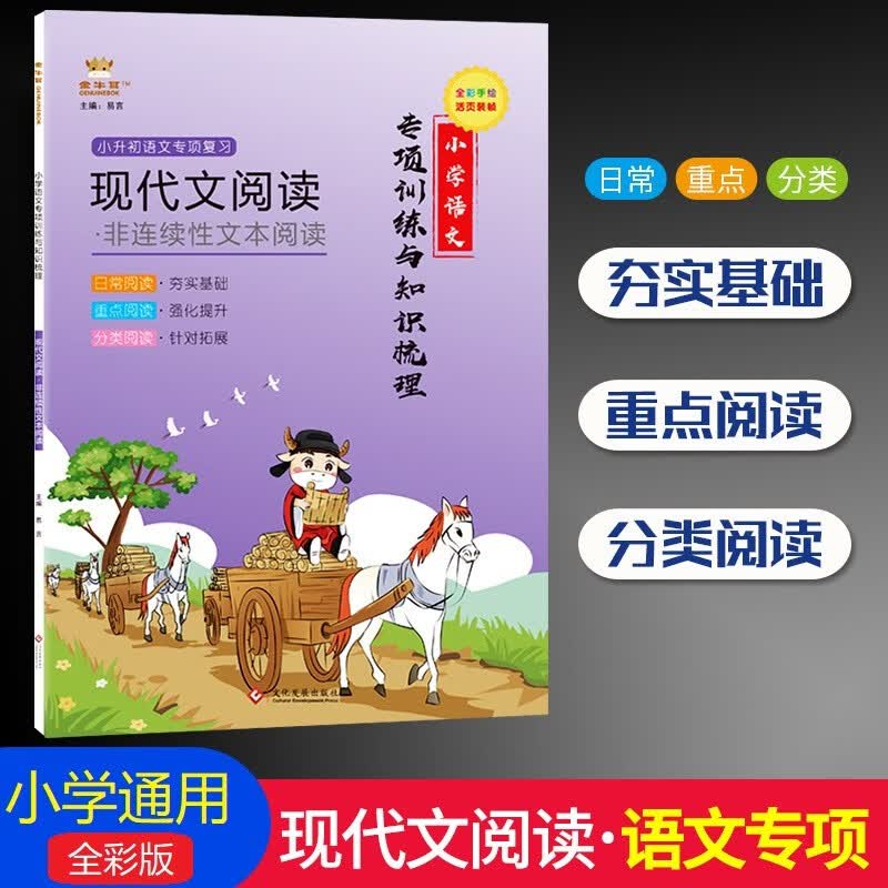 专项训练与知识梳理小学通用阅读理解答题公式模板小升初总复习基础知