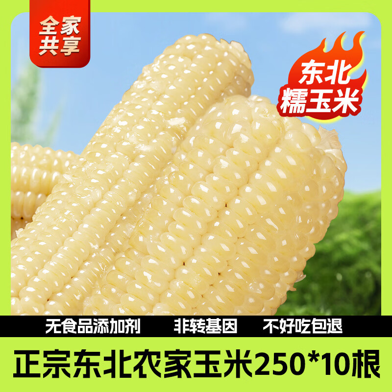 析芮玉米真空包装新鲜甜香粘东北糯玉米棒粗粮代餐儿童早餐即食苞 【鲜甜软糯】白糯10穗*250g彩袋