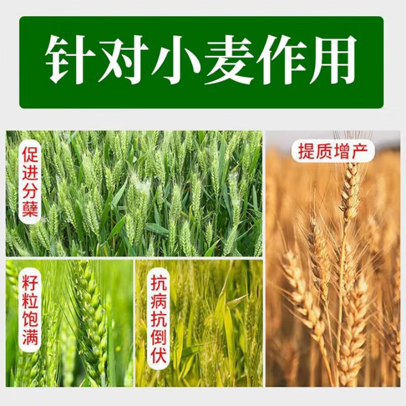 水培肥料悬浮硅锌叶面肥专用肥料小麦水稻玉米分蘖增产壮秆防病害 高含量悬浮态500克*买20赠5瓶