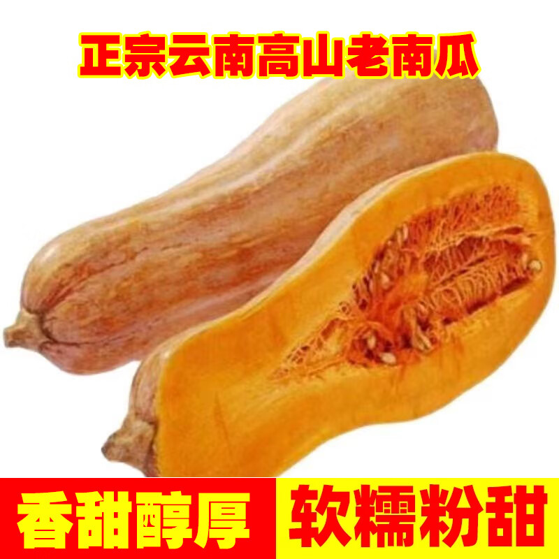 云南老南瓜农家自种当季新鲜粉面甜糯小宝宝辅食整箱蒸煮密本南瓜 老南瓜 8斤 【8-9斤】