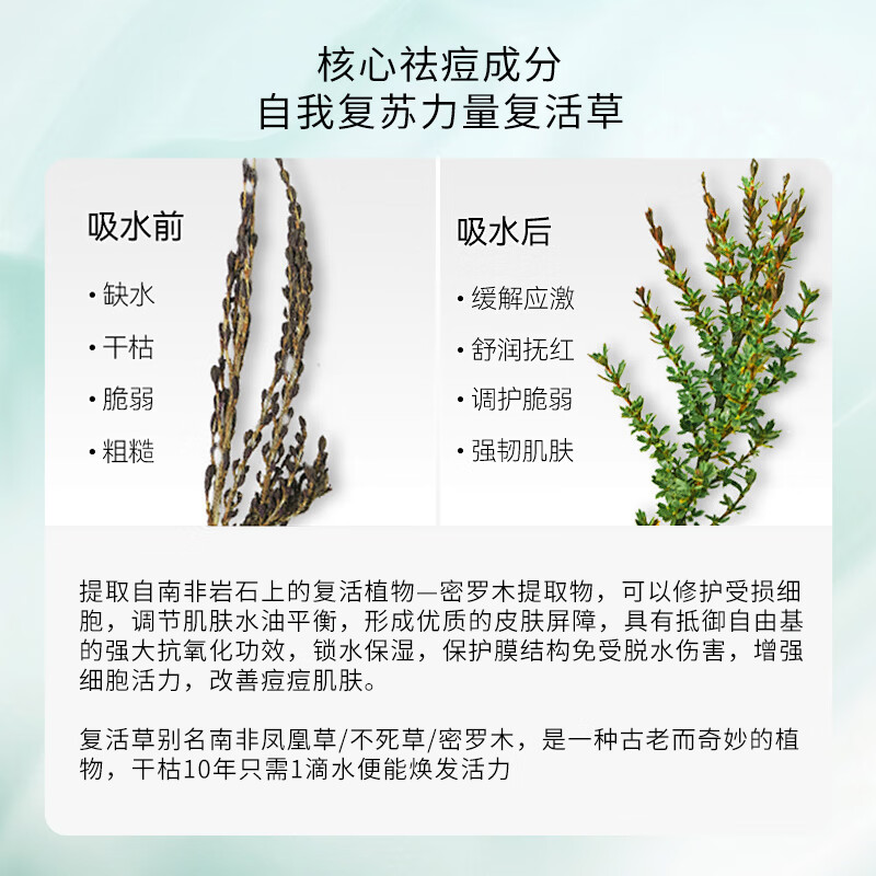 UIR复活草祛痘修护面膜控油淡化痘印痘坑补水保湿细毛孔痘肌七夕礼物 推荐买3送2【发5盒祛痘维稳】