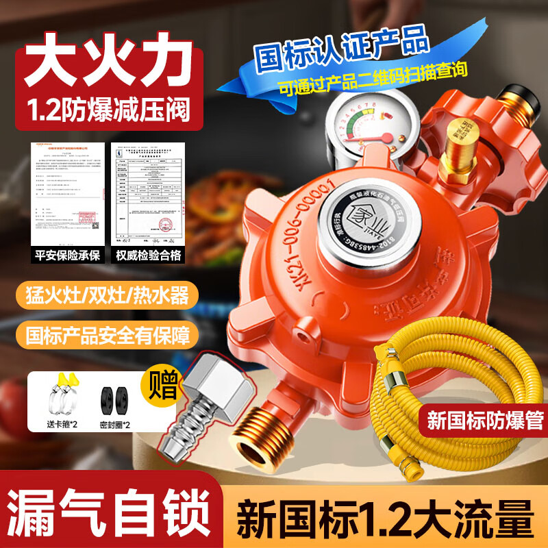 家业 液化气罐煤气减压阀新国标1.2安全阀自动关闭燃气灶阀门大火防爆 【插口】大流量1.2带表+1.5米管 以换代修-值得信赖