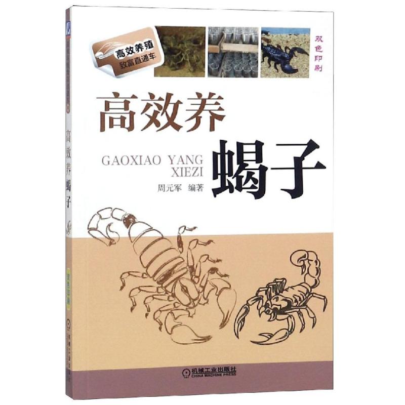 高效养蝎子