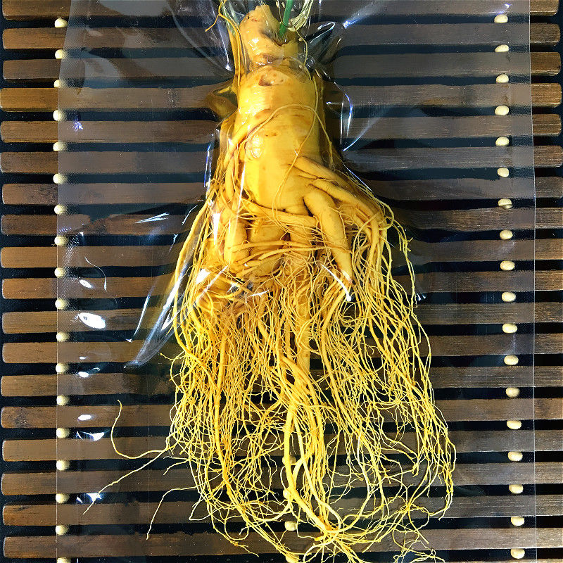 吉林人参长白山鲜人参东北新鲜人参大个泡酒 (单支毛重约350克)