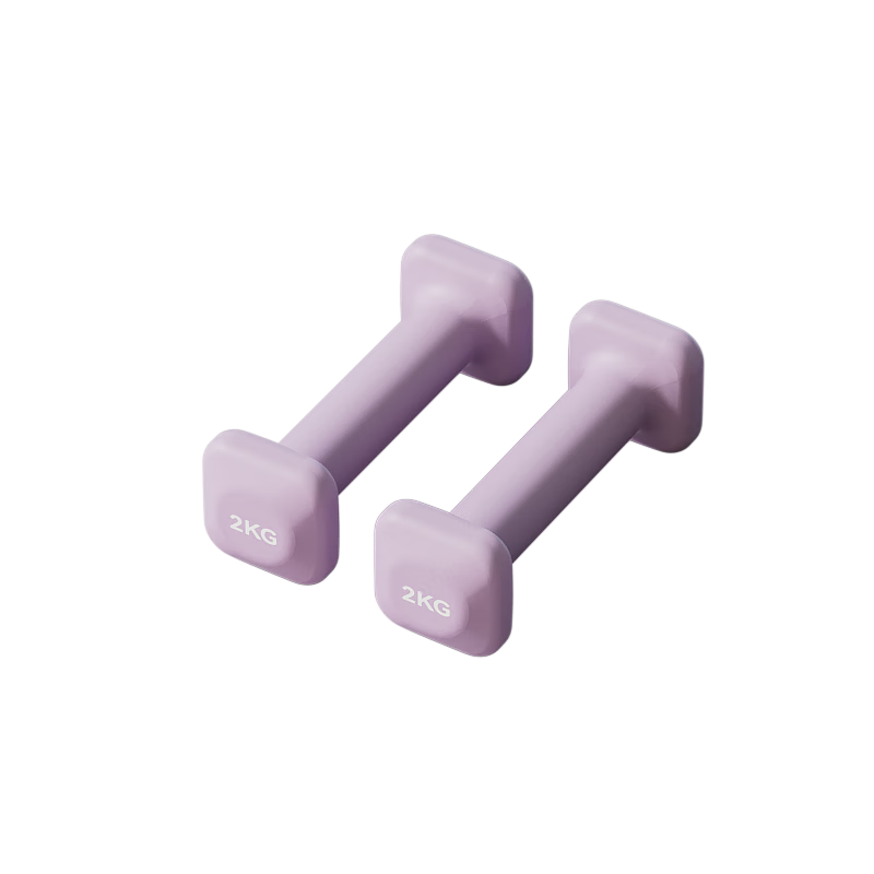 百亿补贴:朗威哑铃女士小哑铃纯铁浸塑实心学生体能手臂训练运动家用健身器材 丁香紫-2kg*2【塑形】41.8元