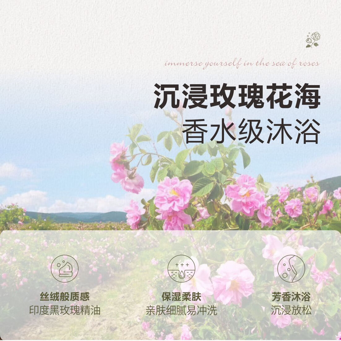 芳香世家香海岸玫瑰精油保湿沐浴露保湿补水滋润持久留香500ml 玫瑰