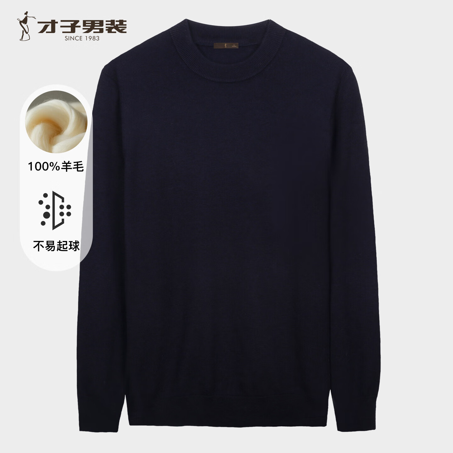 才子（TRIES）商务男士半高领羊毛衫秋冬保暖弹力毛衣男纯色通勤百搭针织衫 藏青色 L 48 (170/88A)