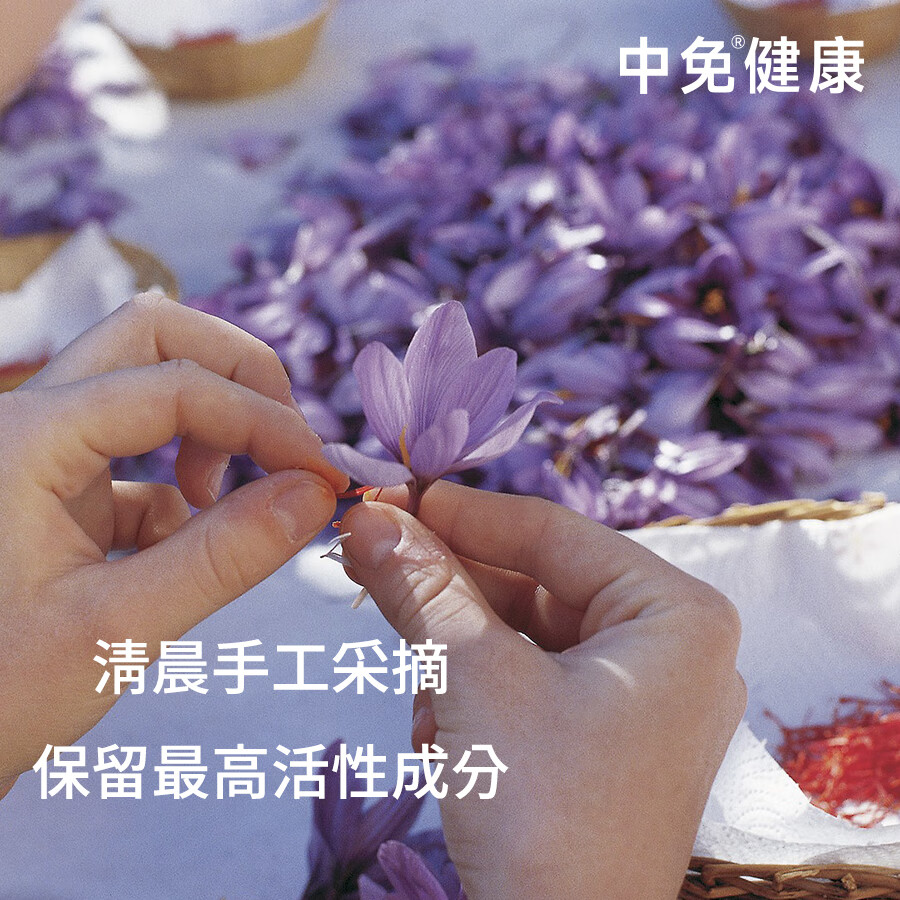 中免健康藏红花10g伊朗原产养生茶送长辈父母品礼物礼盒