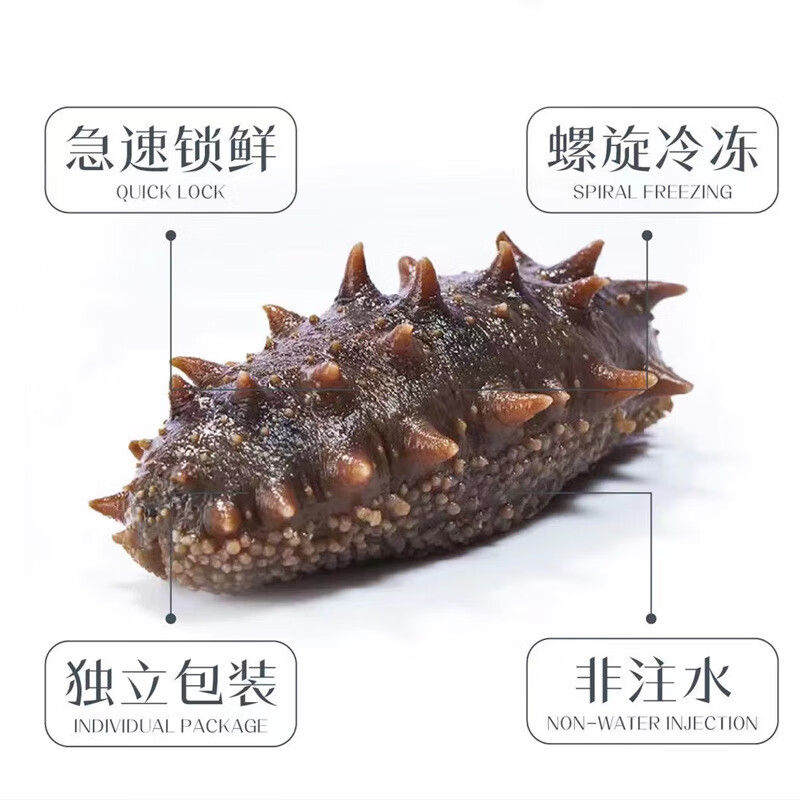 胖东来同款即食海参2斤/6斤开袋3000g鲜食刺参大连辽参顺丰 1斤 纯正海参每个独立包装 13-18只/1斤