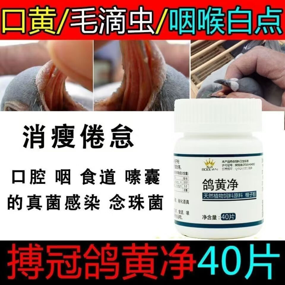 搏冠鸽黄净40片信鸽使用赛鸽毛滴鸽子虫口黄用品非鸽子药大全 默认