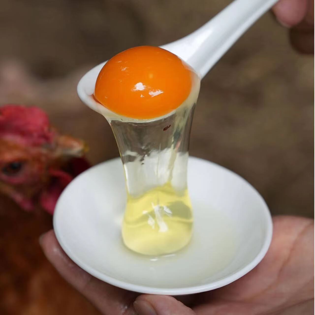 土鸡蛋产地直发