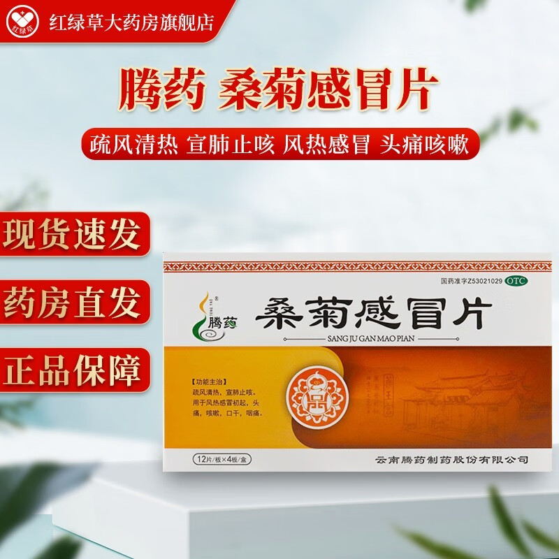 腾药 桑菊感冒片 48片 疏风清热宣肺止咳用于风热感冒初起 头痛 咳嗽