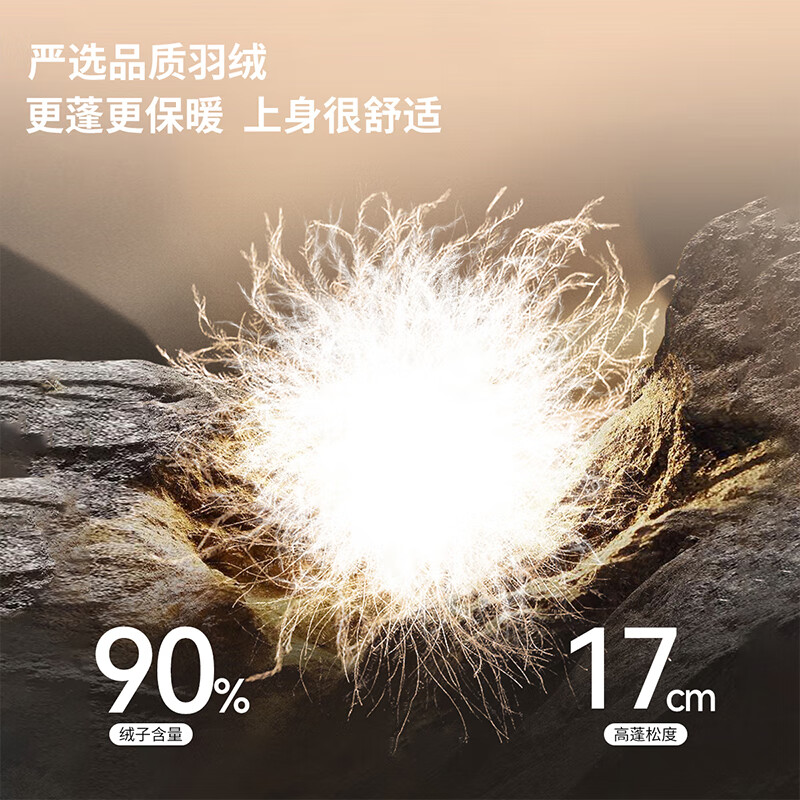 雪中飞时尚休闲轻薄羽绒服女士短款秋冬季2025轻暖鸭绒连帽保暖外套 高级灰 2XL (175) (145-160斤)