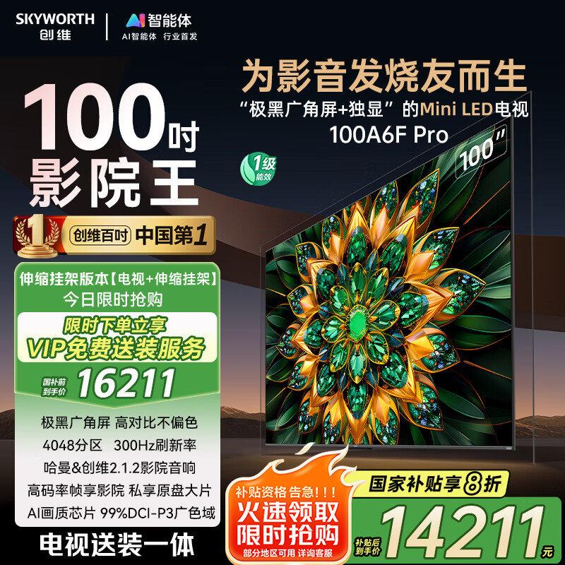 ��ά ���� 100A6F Pro 100Ӣ��