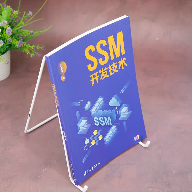 SSM开发技术详情图