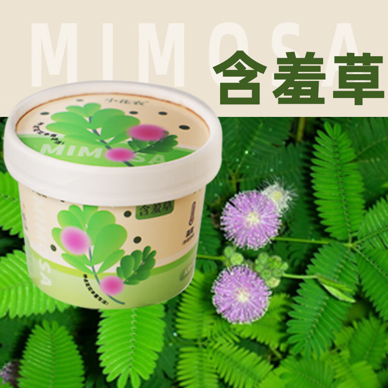 С��ũȤζ��ֲ ����С���� ֲ�������۲���װ �칫����ֲ Ȥζ��ֲ��-���߲�