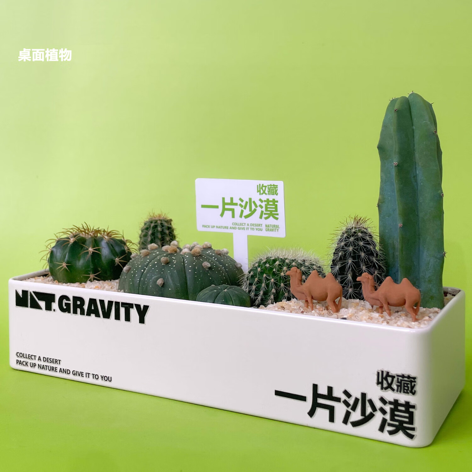 ������ֲһƬɳĮ��������ϰ칫������������Ȥζ��ֲ��а�װԴͷֱ�� 57.91Ԫ