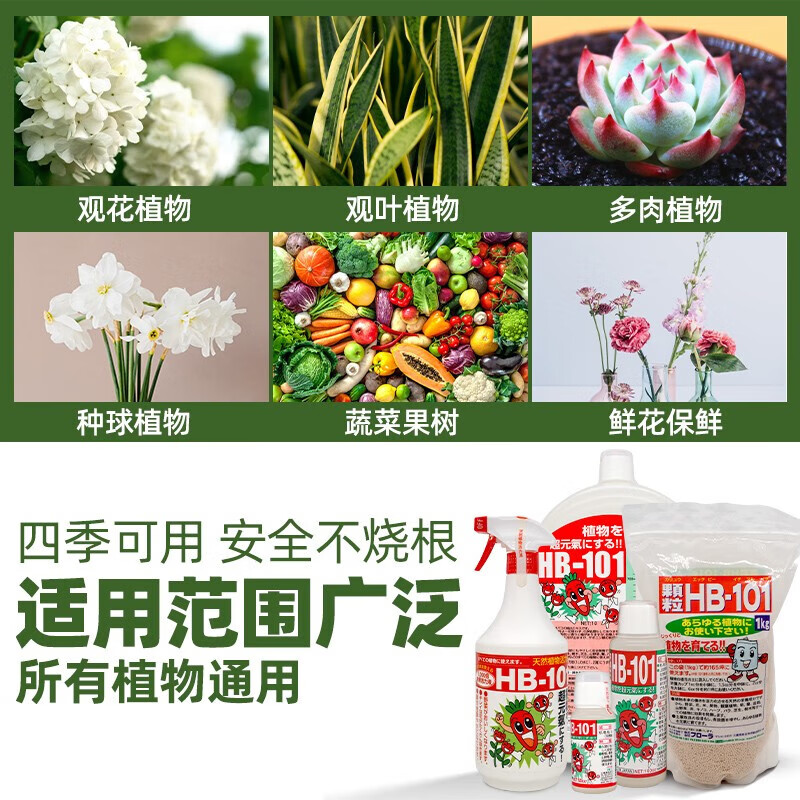 HB-101原装进口植物活力素促芽促花绿植花卉多肉通用生根液急救营养液 HB101液体-100ml(推荐)