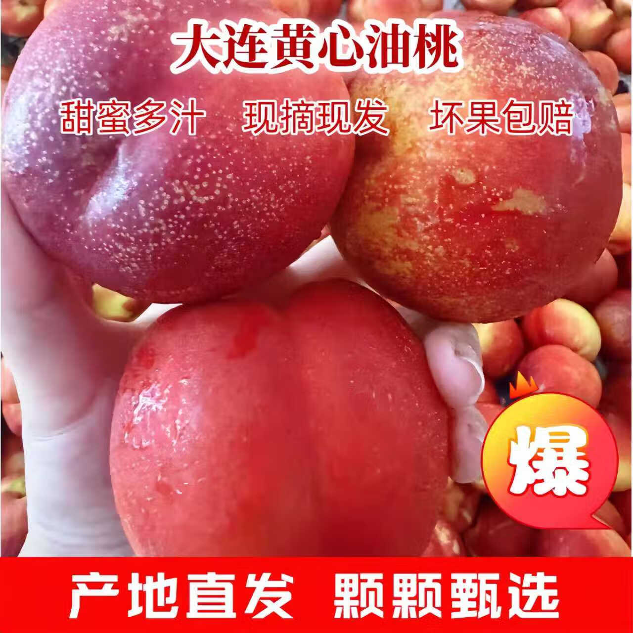 鲜姿 大连红油桃头茬新鲜黄肉油桃丑桃黄心油桃子应季新鲜水果 大连红油桃4.5斤【单果约100-125g】
