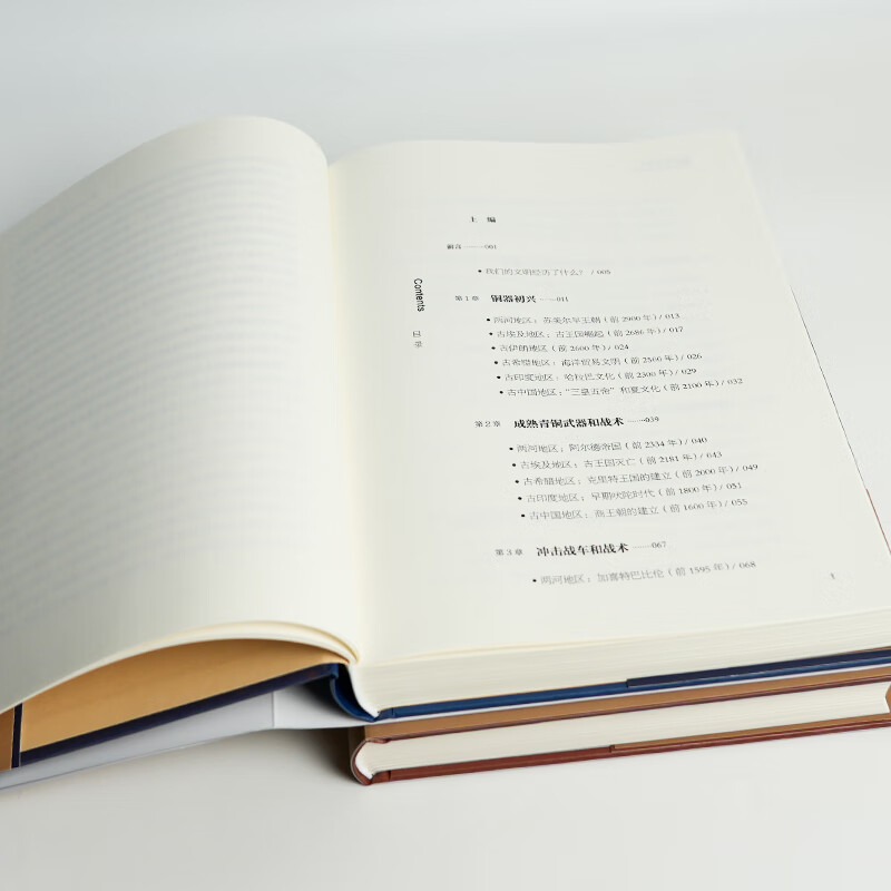 历史的逻辑 精装2册 大历史写作的全新范式  一部对《历史研究》《全球通史》《枪炮、病菌与钢铁》的致敬与反思之作 文明史 历史的逻辑（精装全2册）