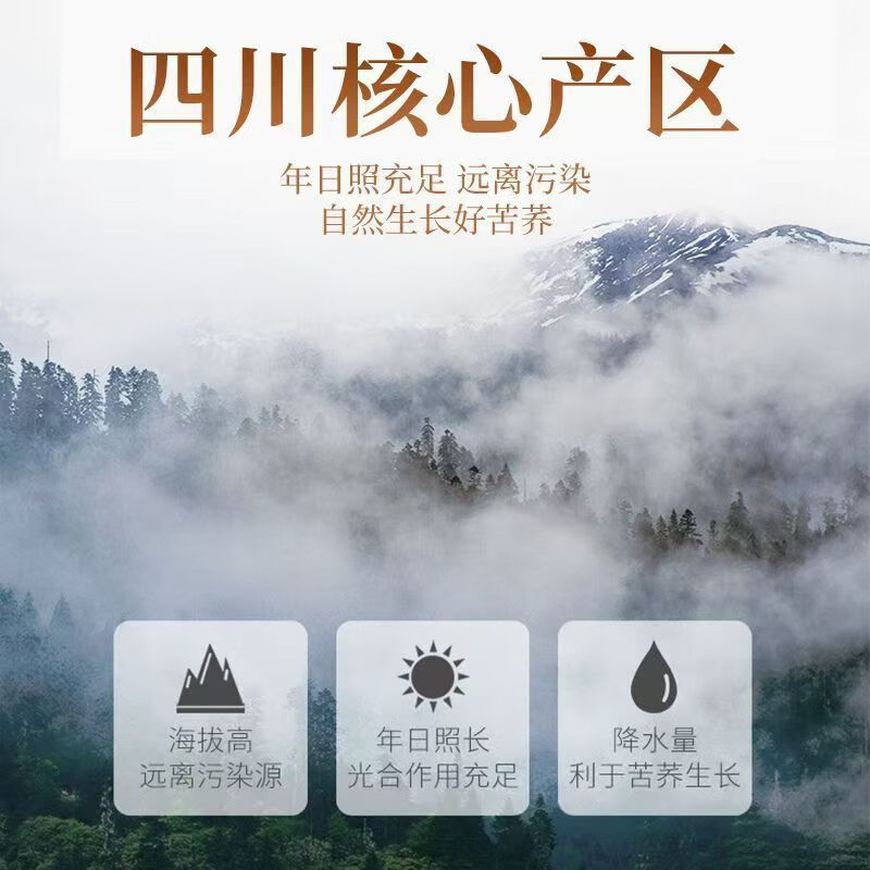 八百方黑苦荞茶 麦香型荞麦茶滋补养生泡水 250g*2罐