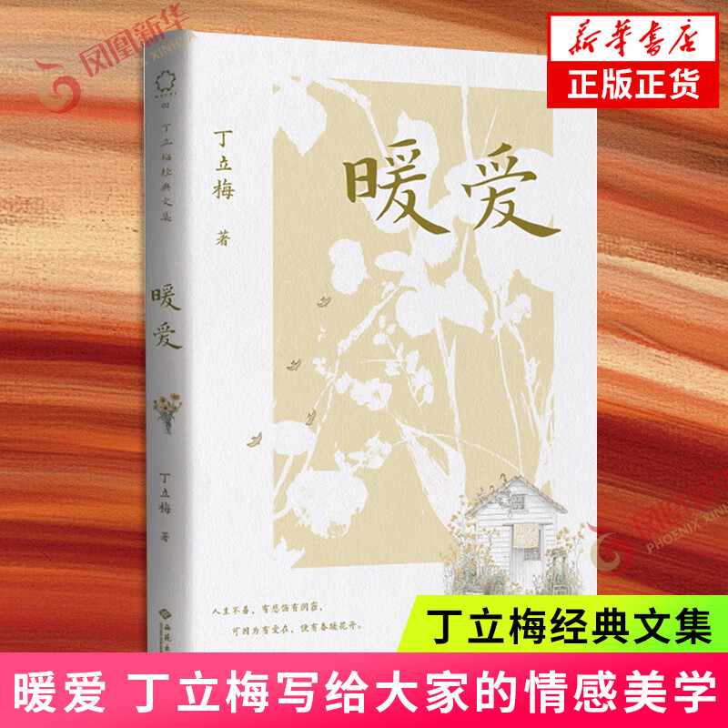 暖爱 丁立梅 丁立梅写给大家的情感美学 丁立梅经典文集课外阅读 暗香遇见风会记得一朵花的香 现当代文学散文随笔 新华书店正版