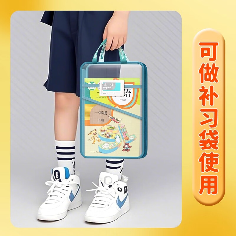 晨光L型科目分类袋手提透明文件袋拉链式网纱大开口学生拎书袋初中生小学生作业补习袋档案试卷收纳袋 【三层大容量】语文1个装