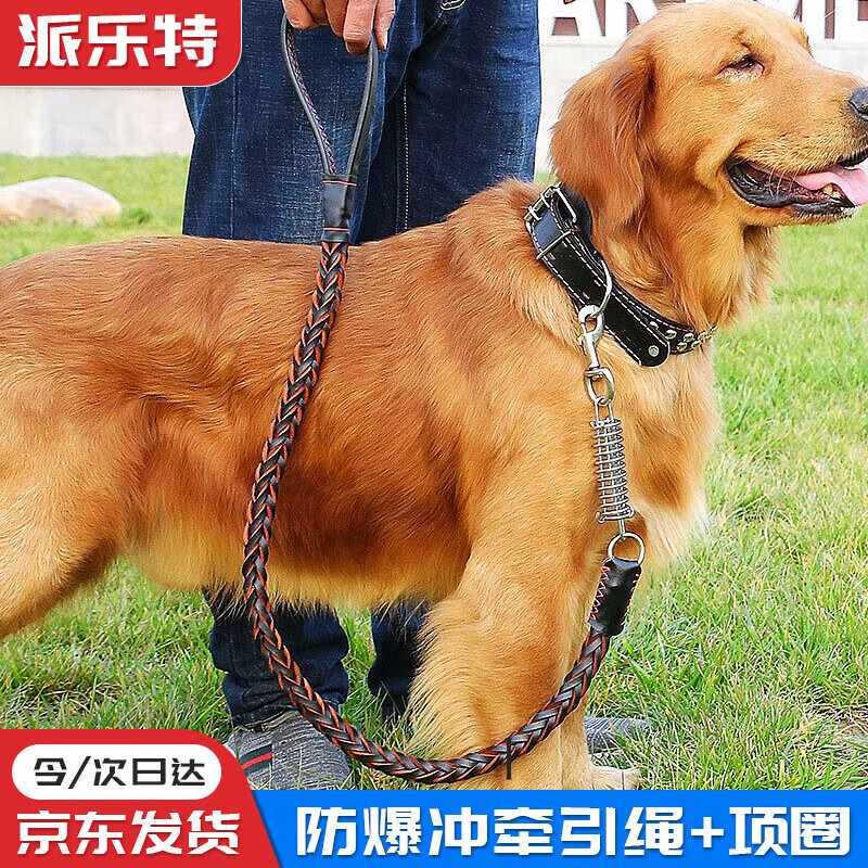 派樂(lè )特狗繩【2件套】狗項圈+防爆沖牽引繩-狗鏈子中大型犬遛狗繩外出 黑色 M碼 建議30-50斤內