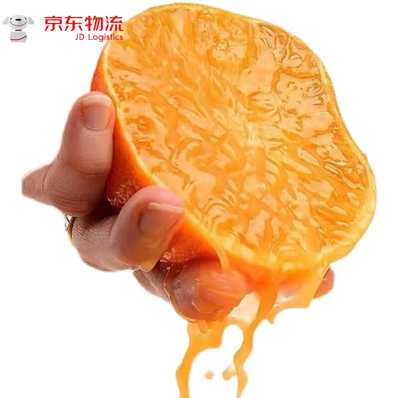 如何查看京东桔橘历史价格|桔橘价格比较